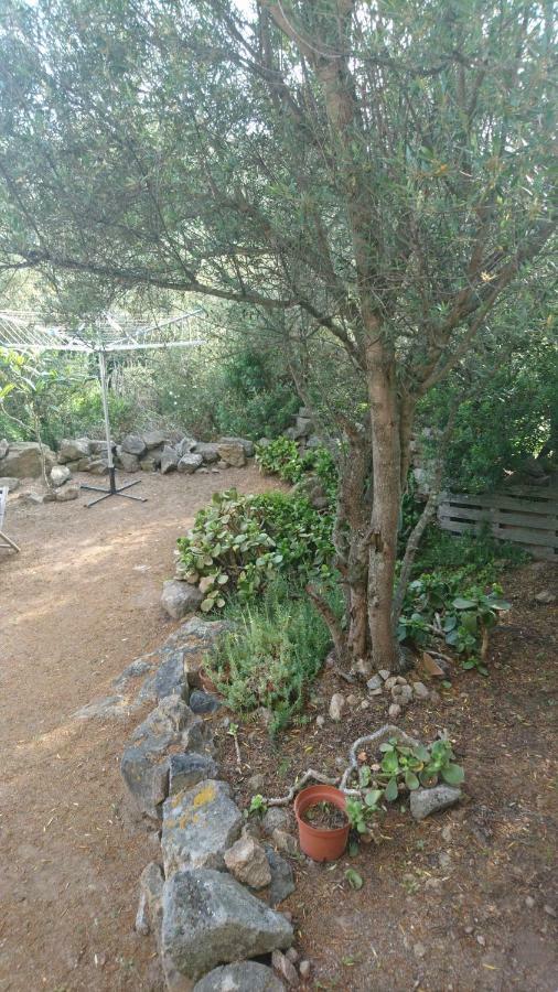 Hébergement de vacances Les De Lozari Belgodère